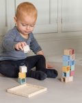Tray & building blocks
